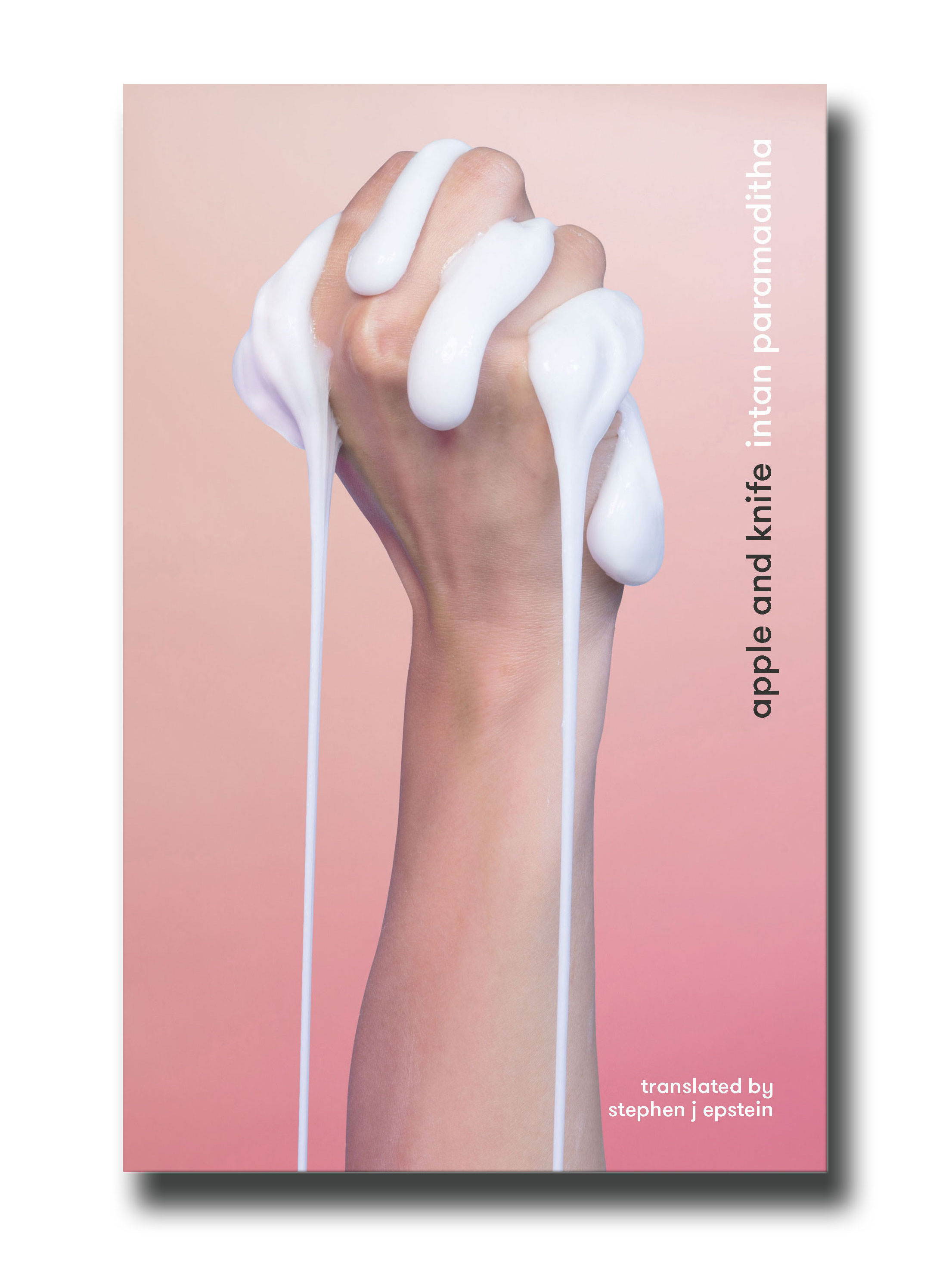 Out now: Apple and Knife by Intan Paramaditha