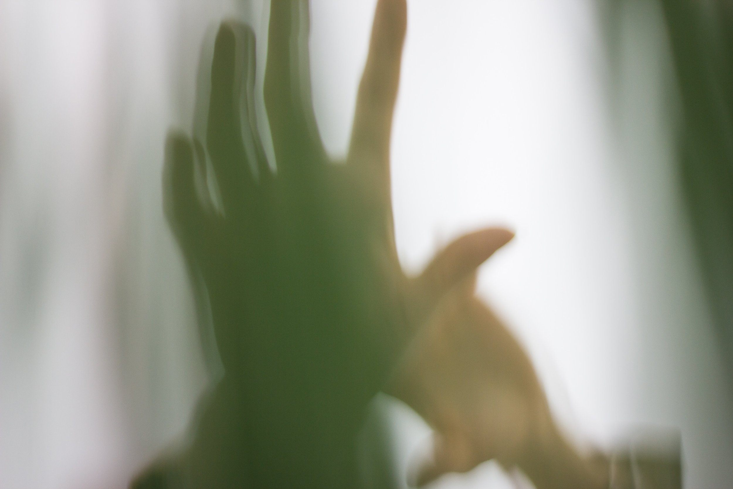 Blak Brow: ‘Because of Her We Can’ by Savanna Kruger