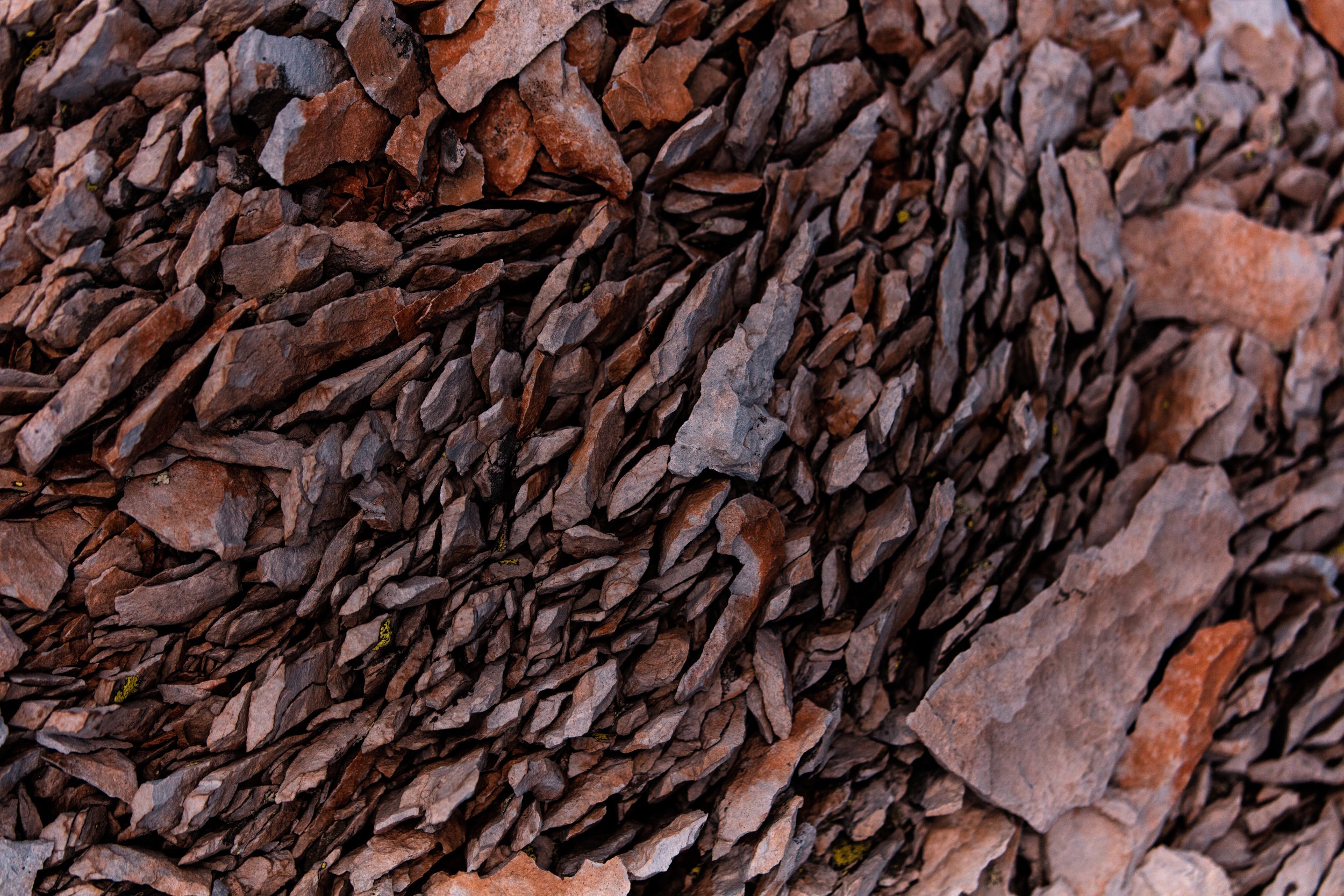 'Gifts' By Arden Levine